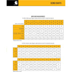 Carhartt mens Rain Defender Loose Fit Heavyweight Sweatshirt