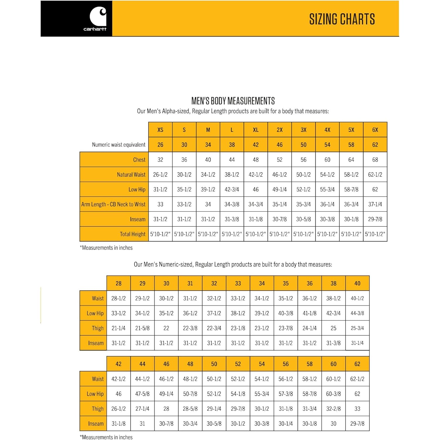 Carhartt mens Rain Defender Loose Fit Heavyweight Sweatshirt