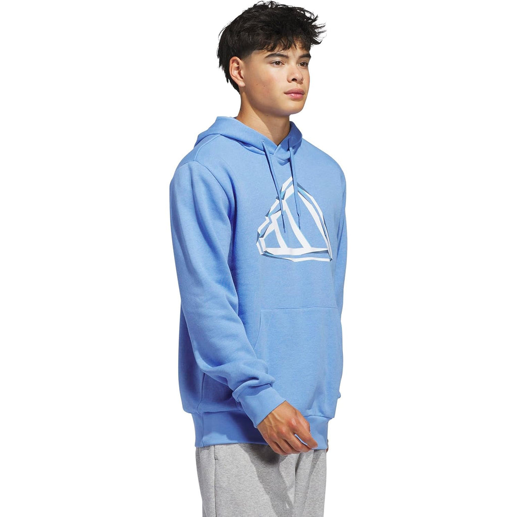 adidas mens Big Logo Graphic Hoodie