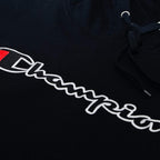 Champion Mens Hoodies Big and Tall - Embroidered Pullover Fleece Sweatshirt