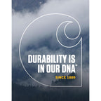 Carhartt Men's Knit Cuffed Beanie