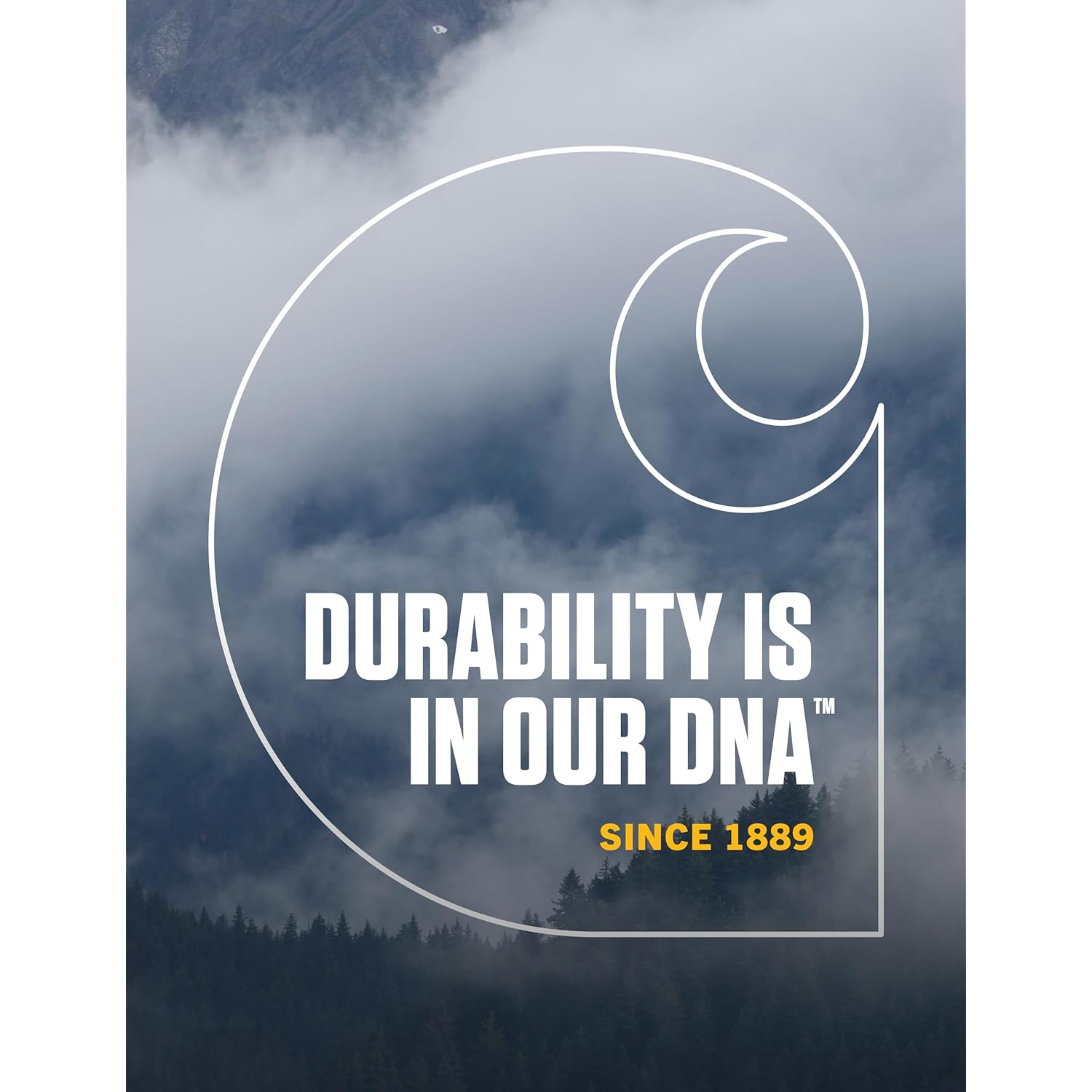 Carhartt Men's Knit Cuffed Beanie