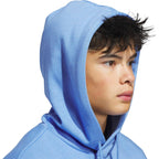 adidas mens Big Logo Graphic Hoodie