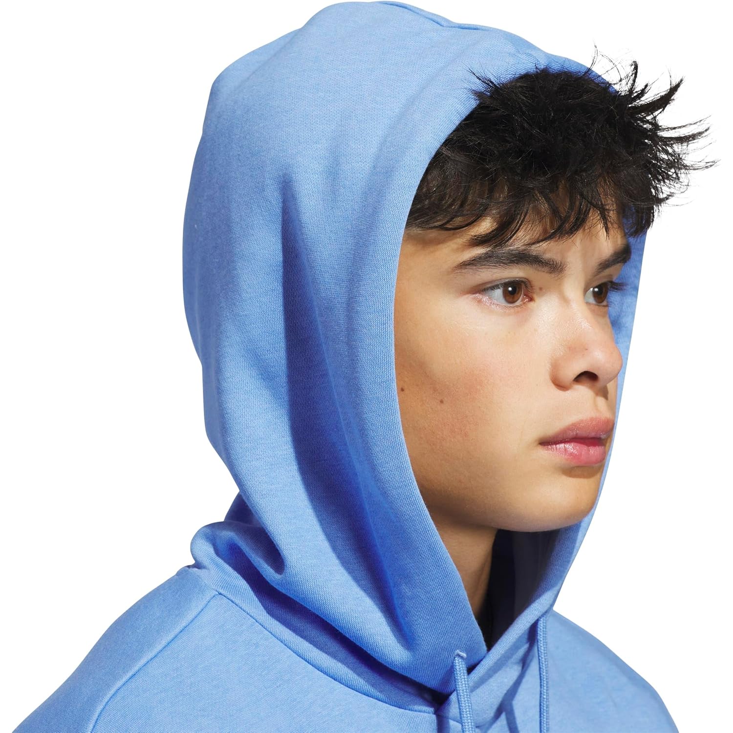 adidas mens Big Logo Graphic Hoodie